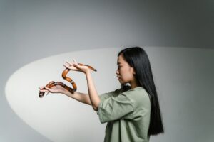 Read more about the article Overcoming the Learning Curve in Stress Management